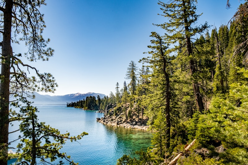 Incline Village - Lake Tahoe Real Estate